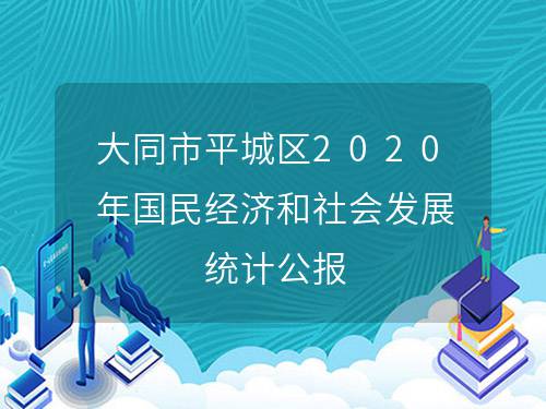 大同区统计局未来发展规划展望