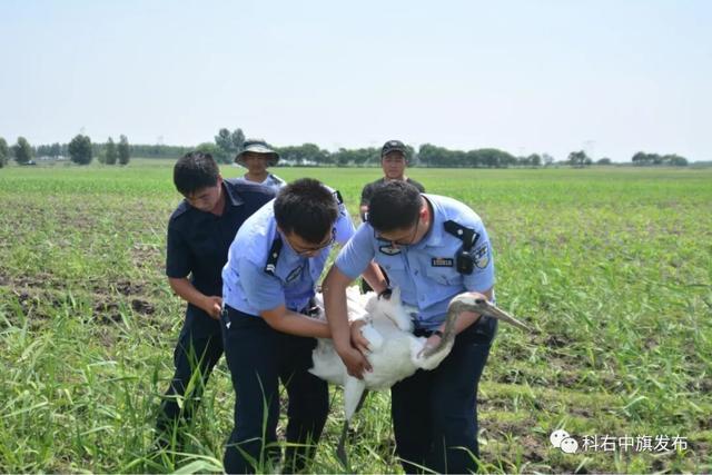 巴彦县特殊教育事业单位招聘最新信息及解读