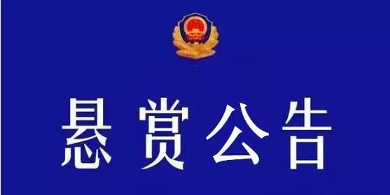 陈仓区公安局人事任命推动警务工作革新升级