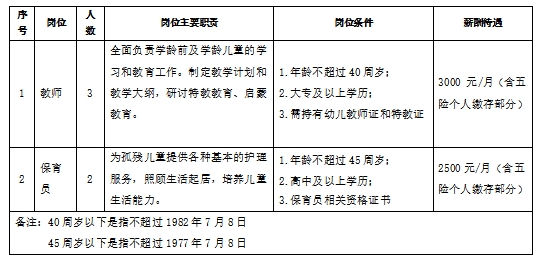 霞山区级托养福利事业单位最新项目，探索与实践之路