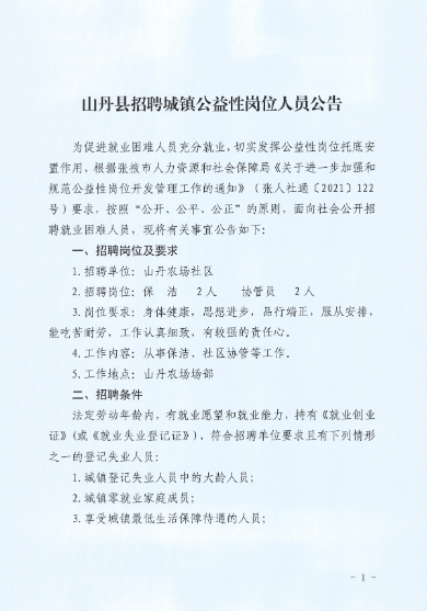 山丹县小学最新招聘信息及其相关细节