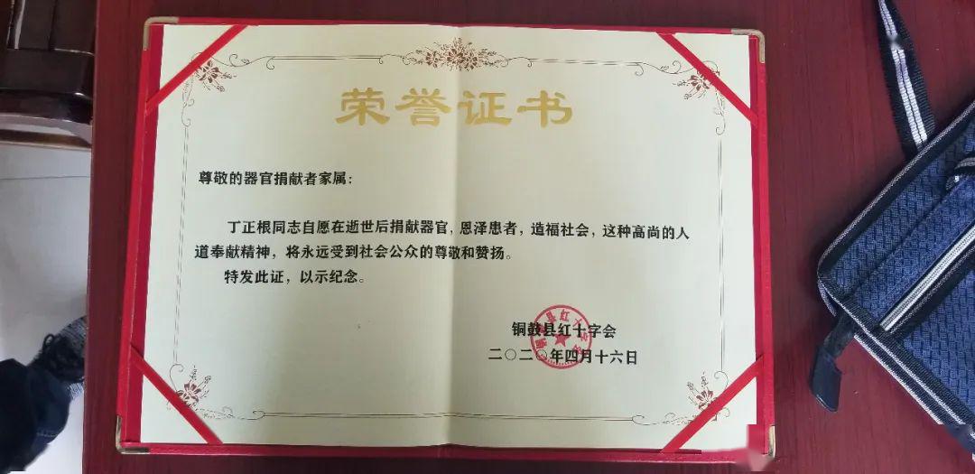 郑山村委会最新人事任命，推动村级治理上新台阶