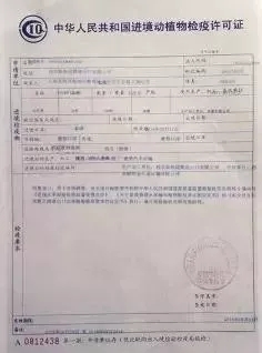 海阳市防疫检疫站最新人事任命，塑造未来防疫新格局