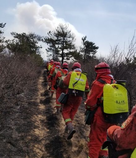 山西省晋中市寿阳县尹灵芝镇最新发展规划探讨